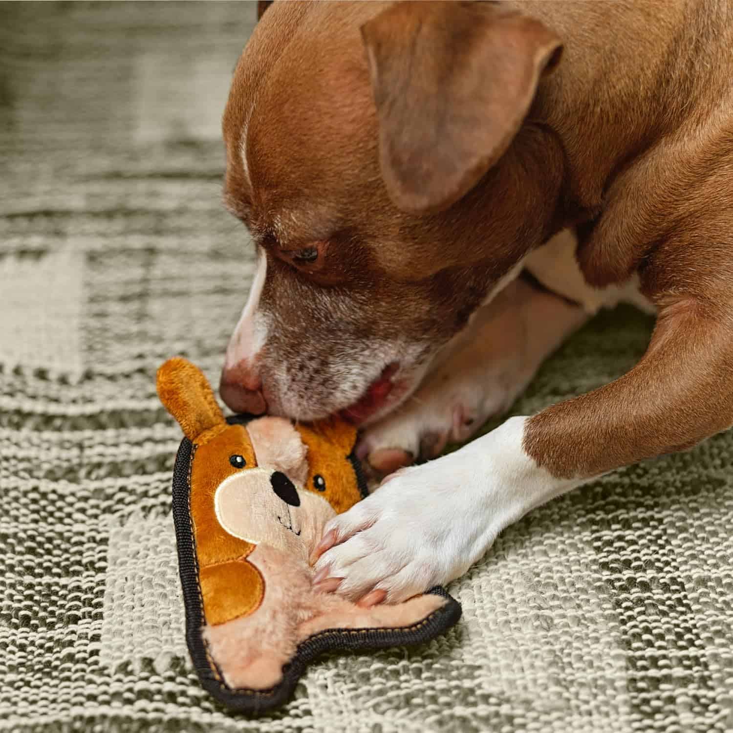 Outward Hound Dog Invincibles XS Puppy Dog Toy - Brown