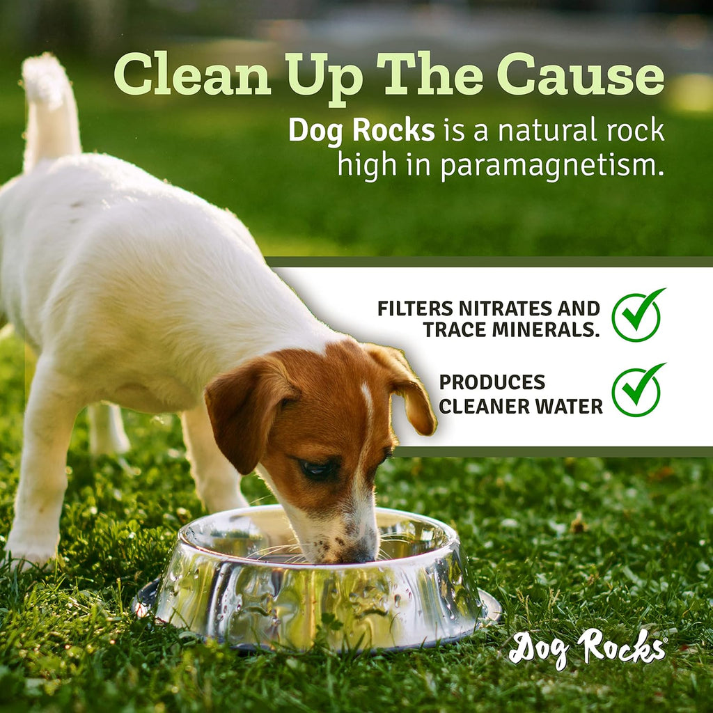 Dog Rocks