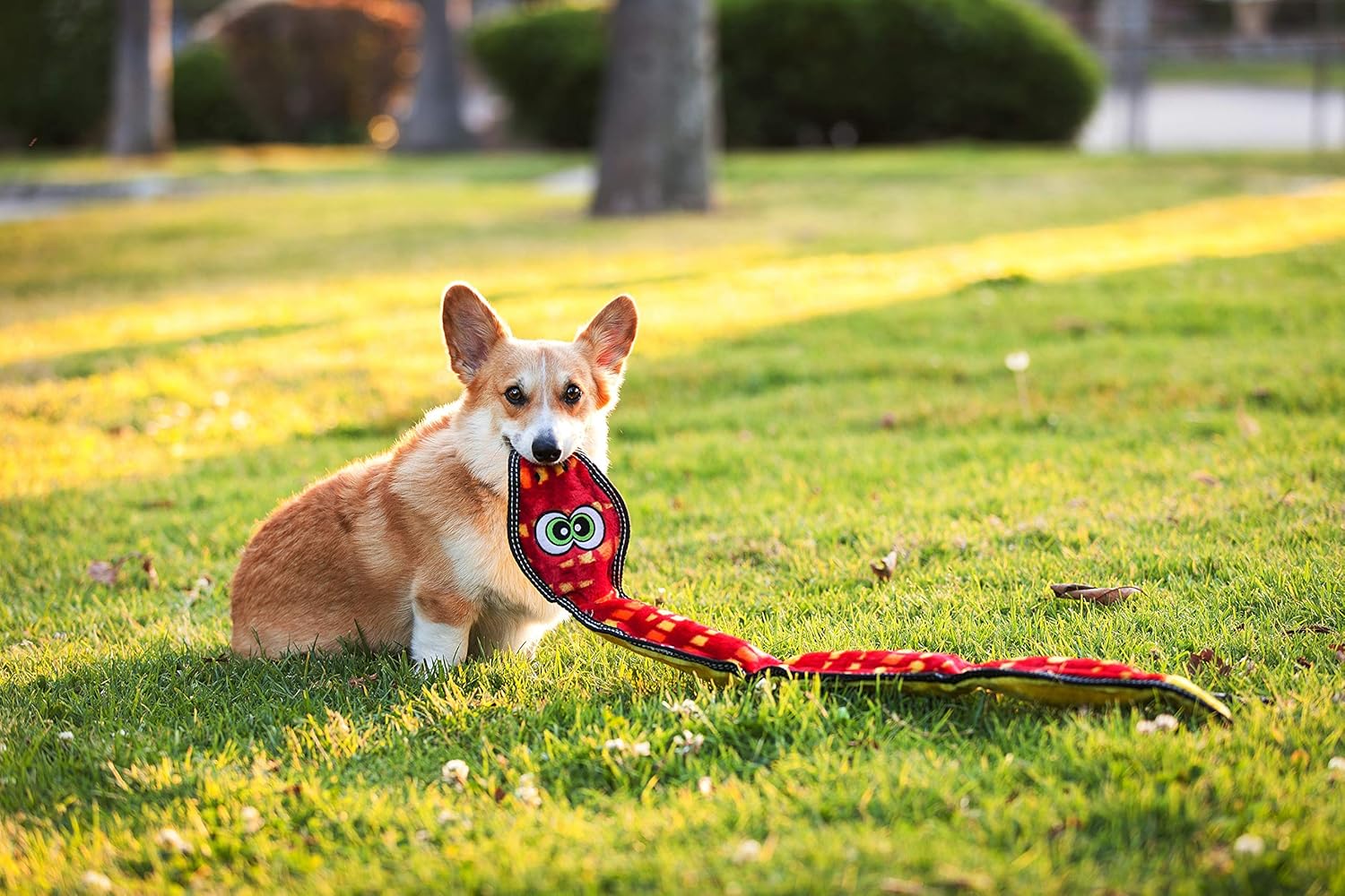 Outward Hound Dog Tough Seamz S0ke Dog Toy - Extra Large