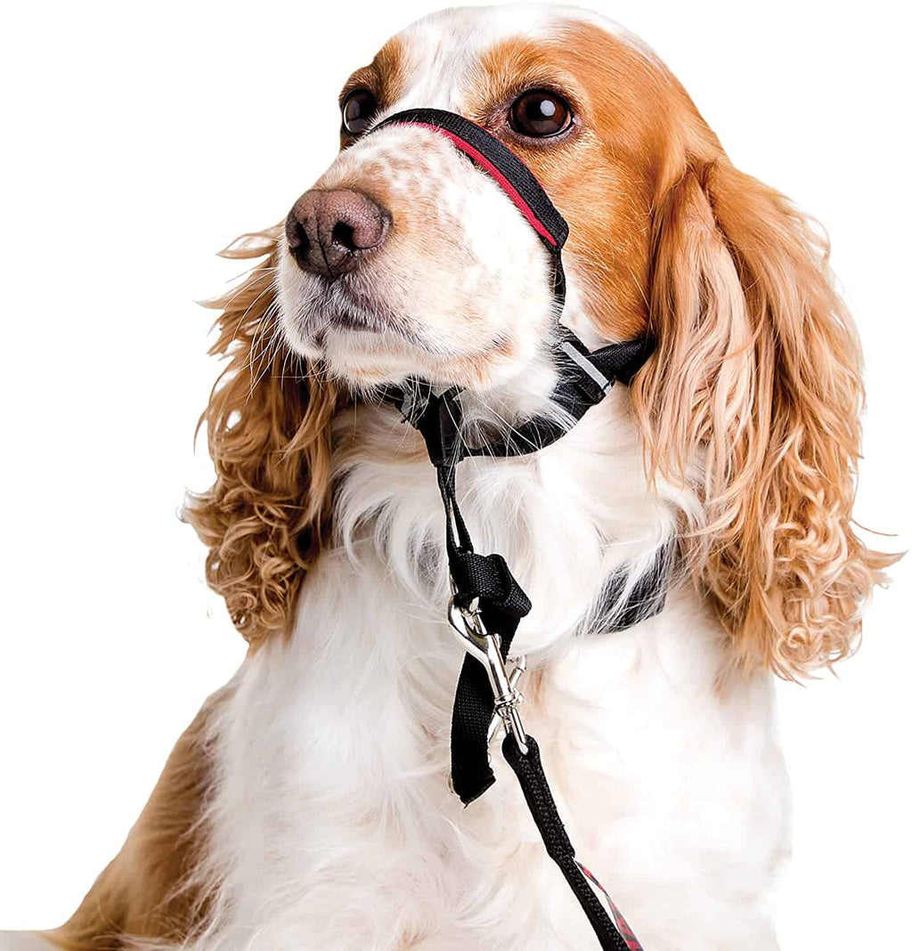 Halti Optifit Dog HeadCollar Black / Red