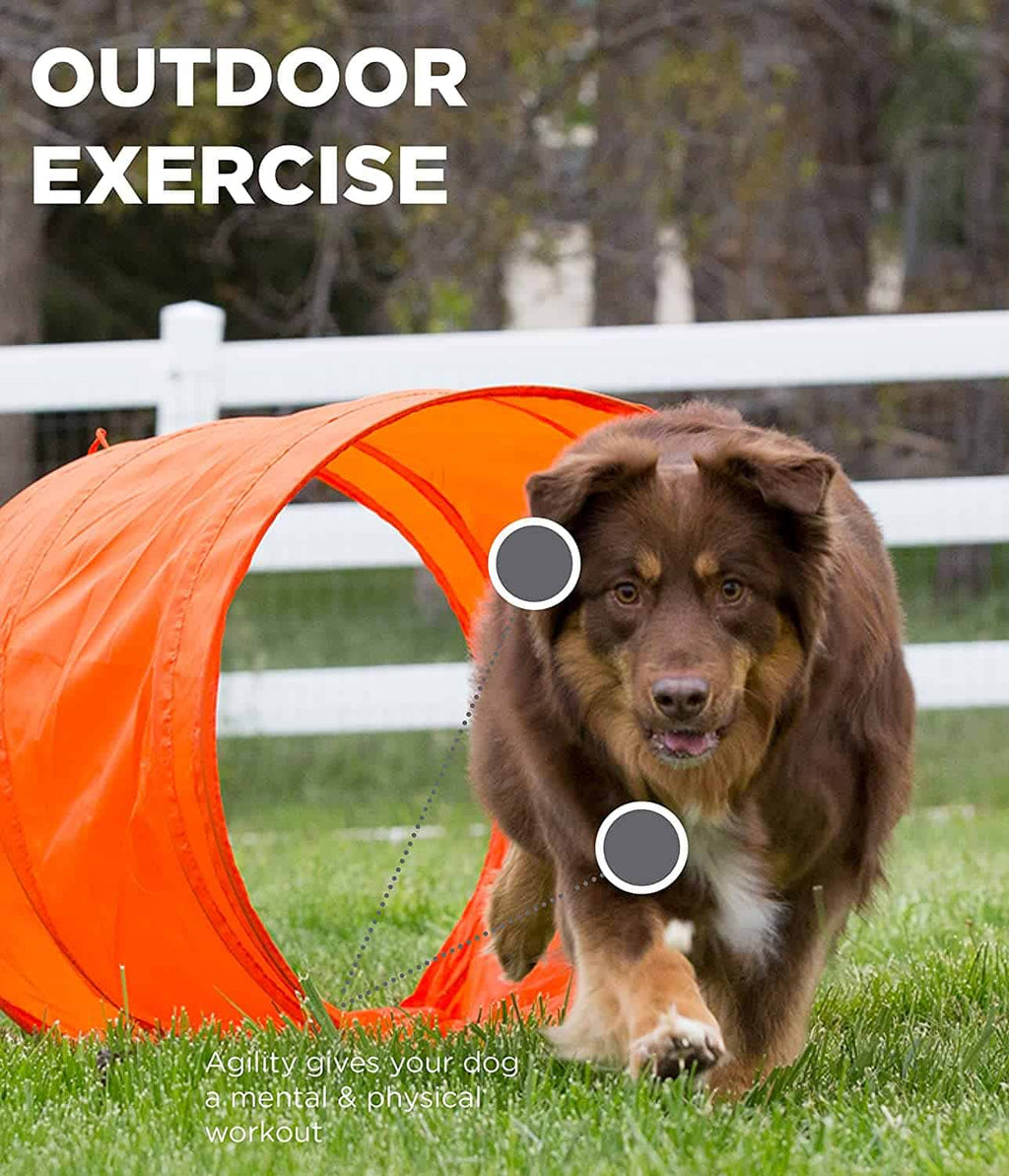 Outward Hound ZipZoom Agility Kit Outdoor