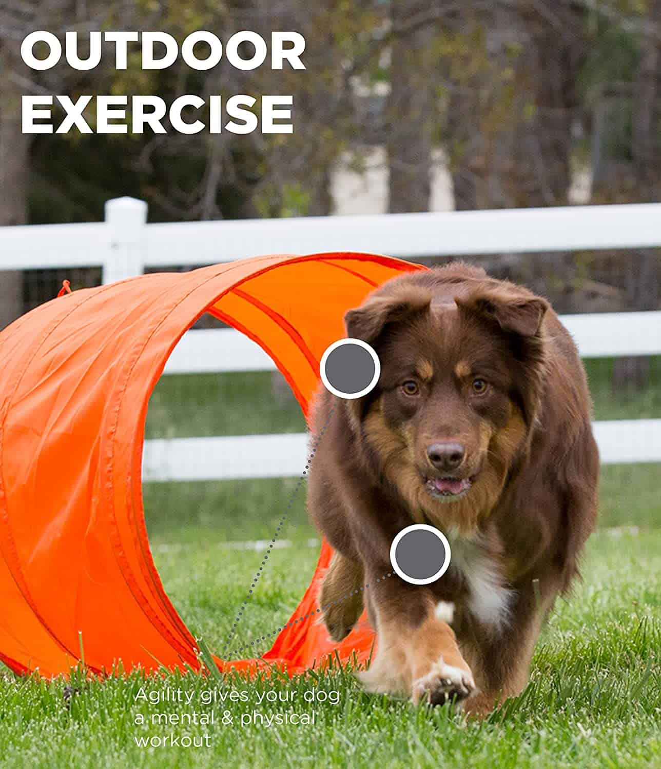 Outward Hound ZipZoom Agility Kit Outdoor