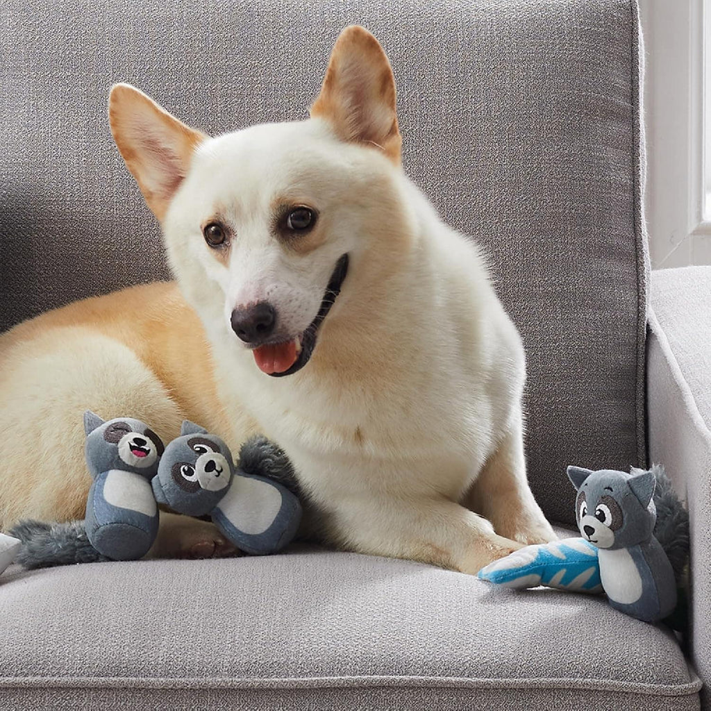 Outward Hound Hide A Raccoon Plush Dog Toy Puzzle