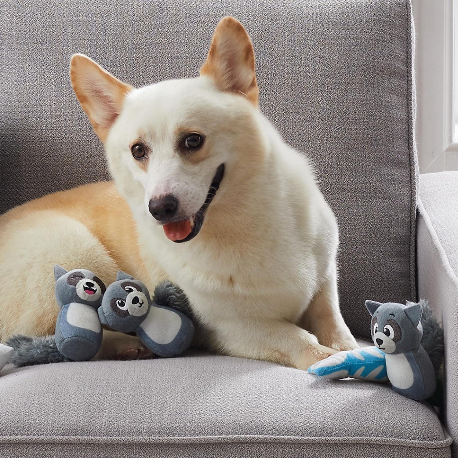 Outward Hound Hide A Raccoon Plush Dog Toy Puzzle
