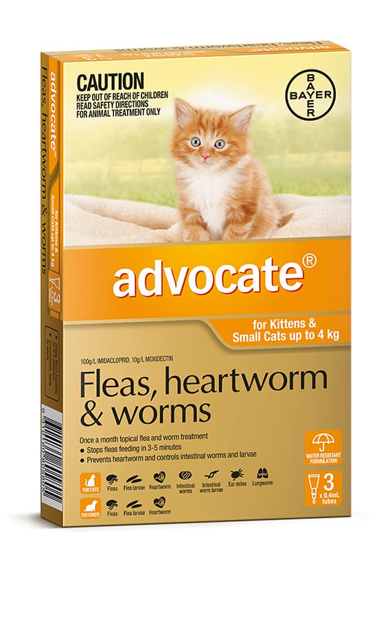 Advocate Cat Small 0-4kg Orange