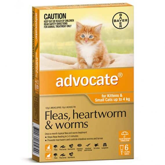 Advocate Cat Small 0-4kg Orange