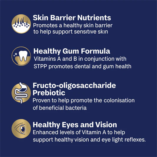 Advance All Breed Maltese Cross Adult Dog Food Turkey with Rice