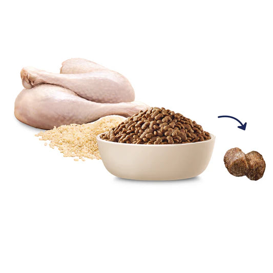 Advance All Breed Maltese Cross Adult Dog Food Turkey with Rice