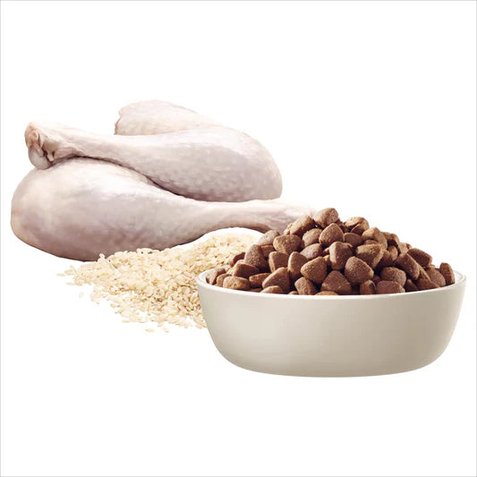 Advance Large Breed Oodles Adult Dog Food Salmon with Rice