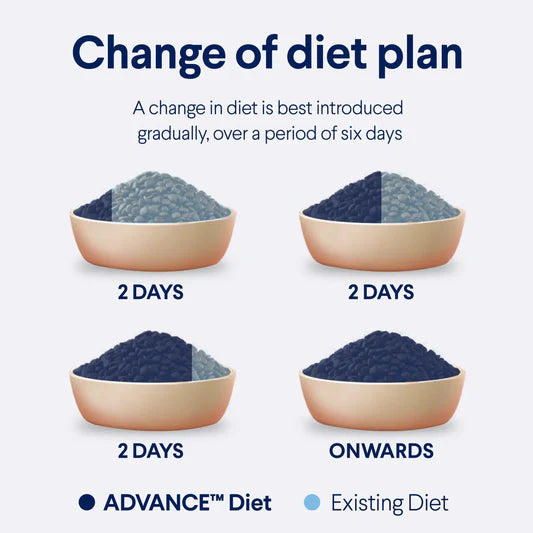 Advance Hairball Adult Cat Dry Food Chicken with Rice