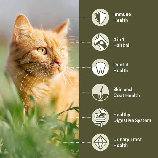 Advance Hairball Adult Cat Dry Food Chicken with Rice