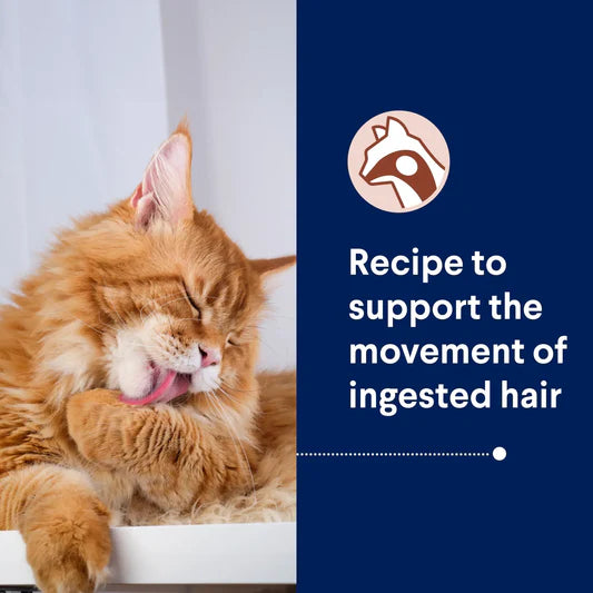 Advance Hairball Adult Cat Dry Food Chicken with Rice