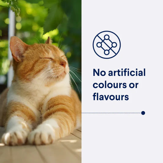 Advance Healthy Weight Light Adult Cat Dry Food 2kg