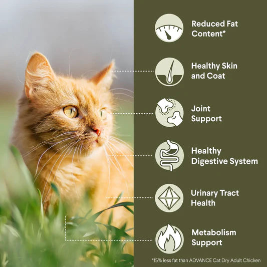 Advance Healthy Weight Light Adult Cat Dry Food 2kg