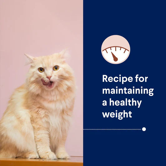 Advance Healthy Weight Light Adult Cat Dry Food 2kg