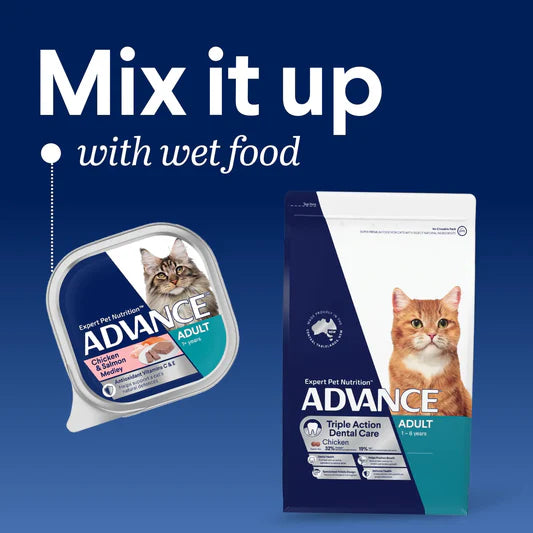 Advance Triple Action Dental Care Adult Cat Chicken with Rice 2kg