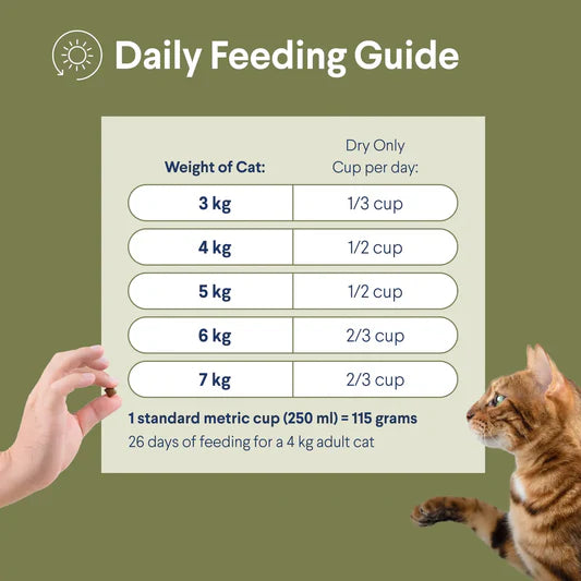 Advance Triple Action Dental Care Adult Cat Chicken with Rice 2kg