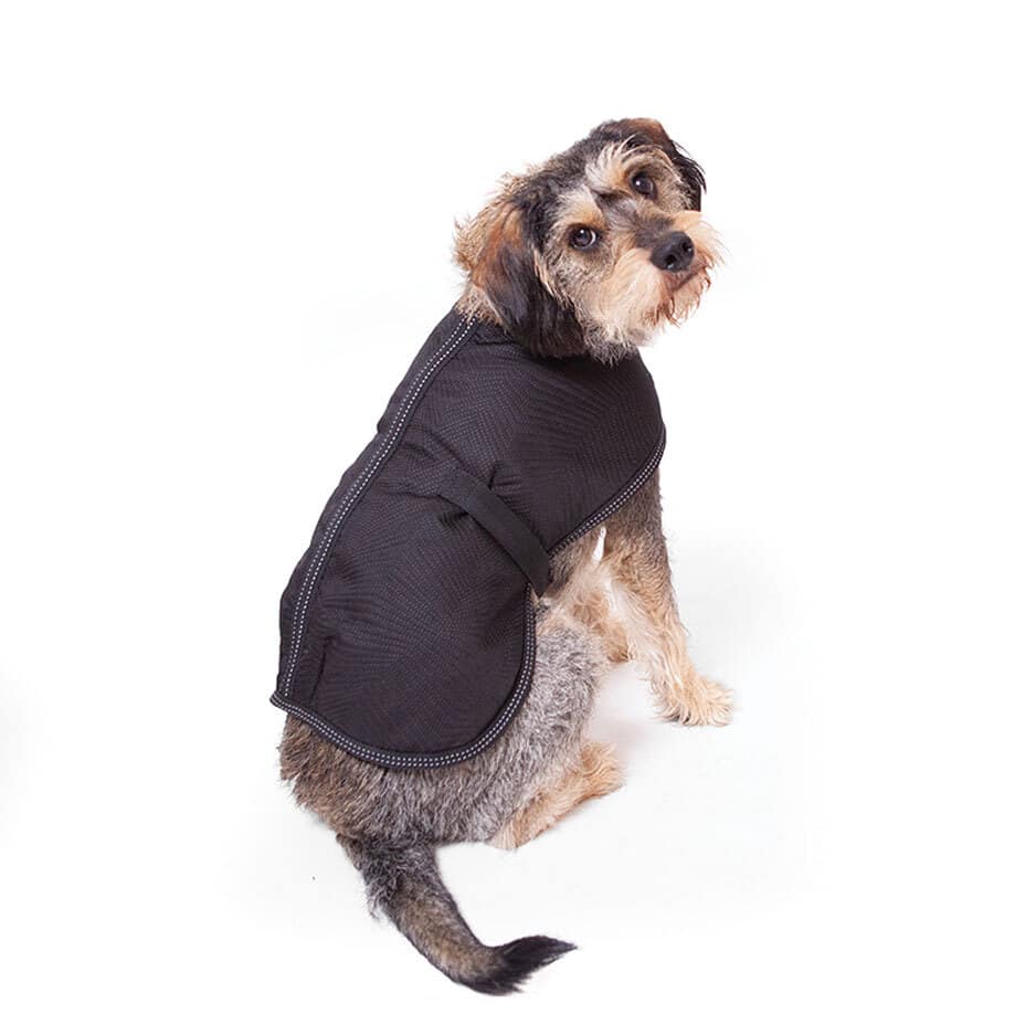 Kazoo Dog Black Adventure Coat XXS