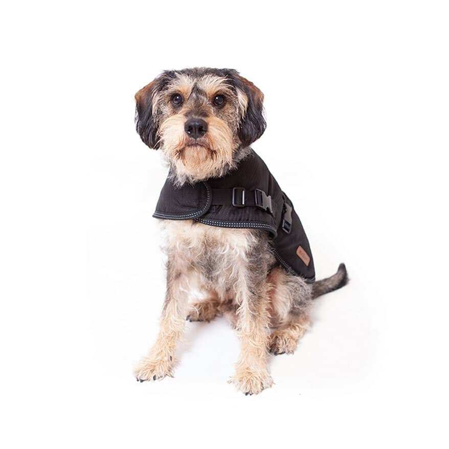 Kazoo Dog Black Adventure Coat XXS