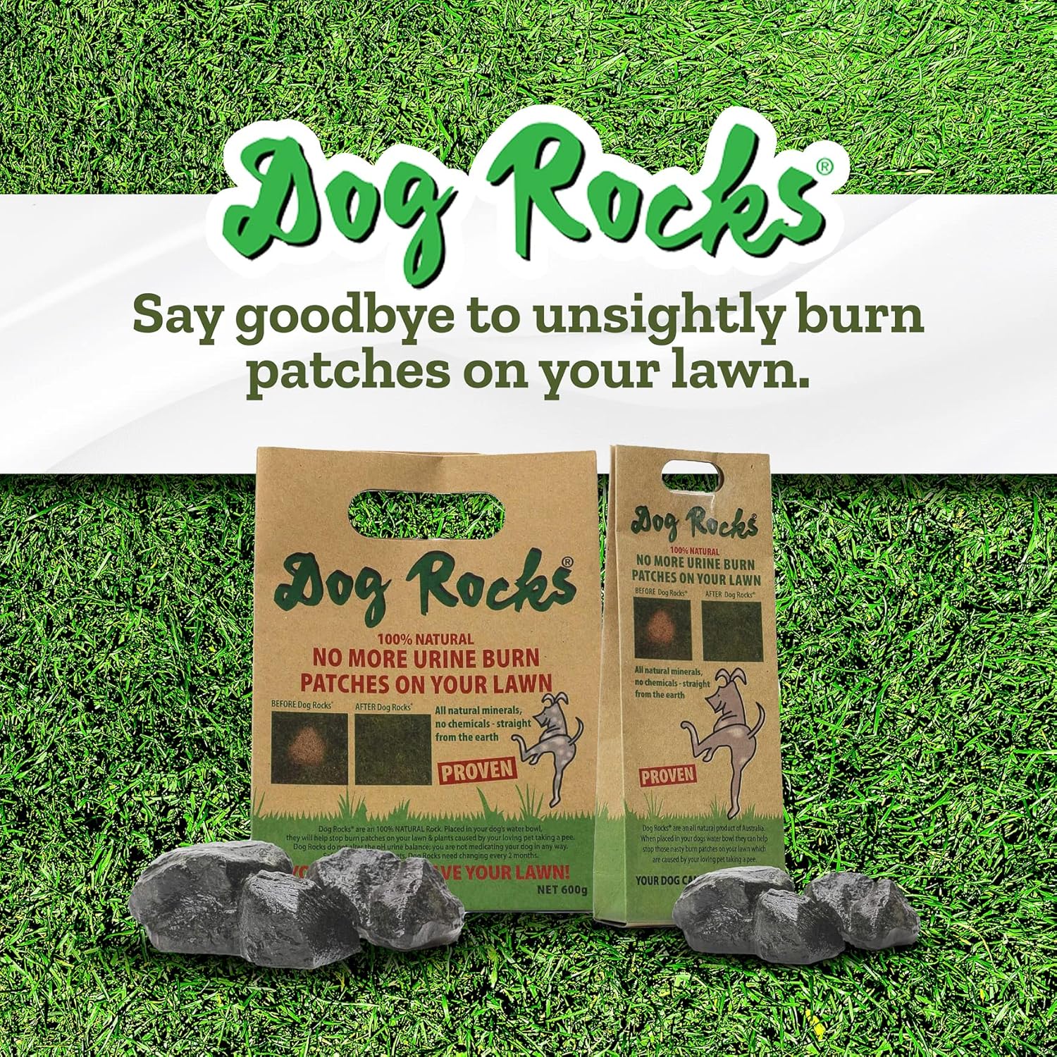 Dog Rocks