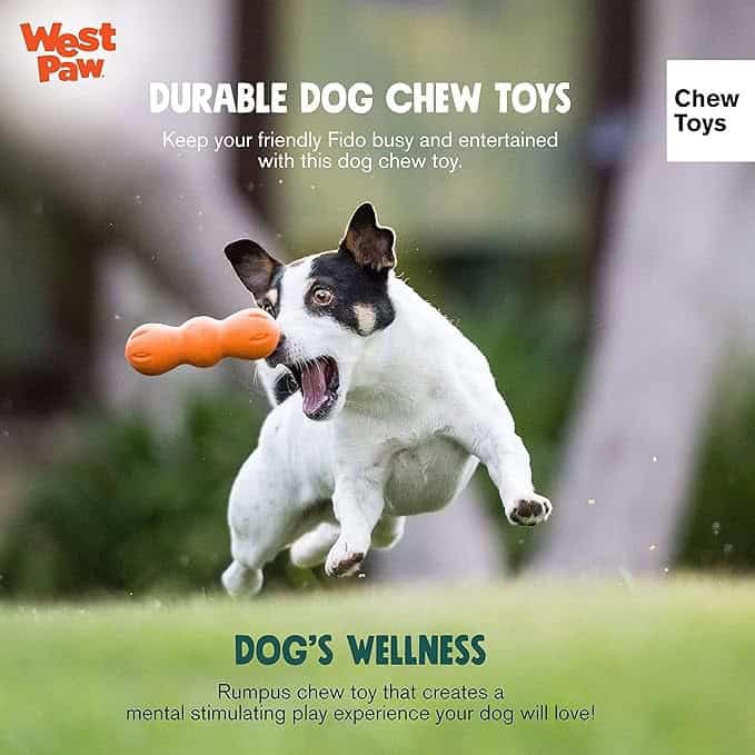 West Paw Rumpus Tough Fetch
