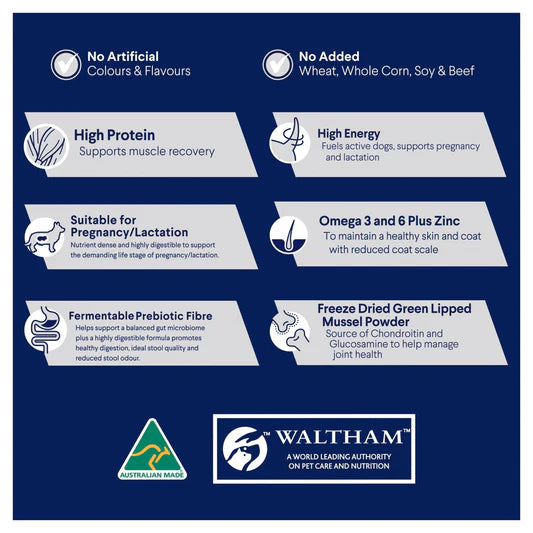 Advance Active All Breed Adult Dog Food Chicken with Rice 13kg