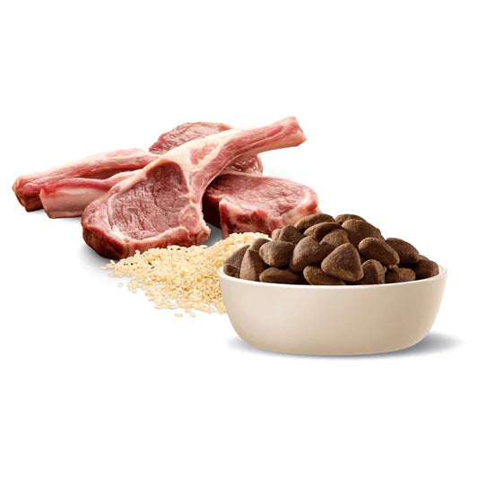 Advance Large Breed Adult Dog Food Lamb with Rice 15Kg