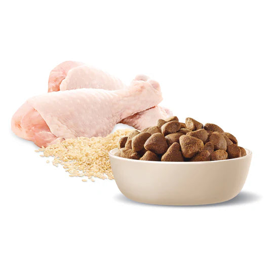 Advance Healthy Ageing Large Breed Dog Chicken with Rice 15kg