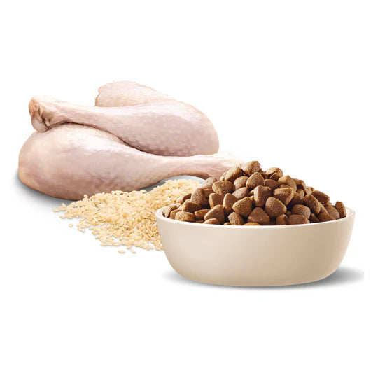 Advance Medium Breed Adult Dog Food Turkey with Rice