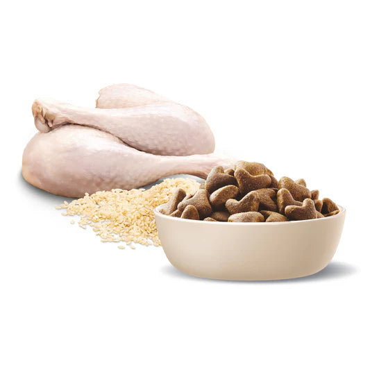 Advance Adult Shepherd Dog Food Turkey with Rice 13kg – PetNest