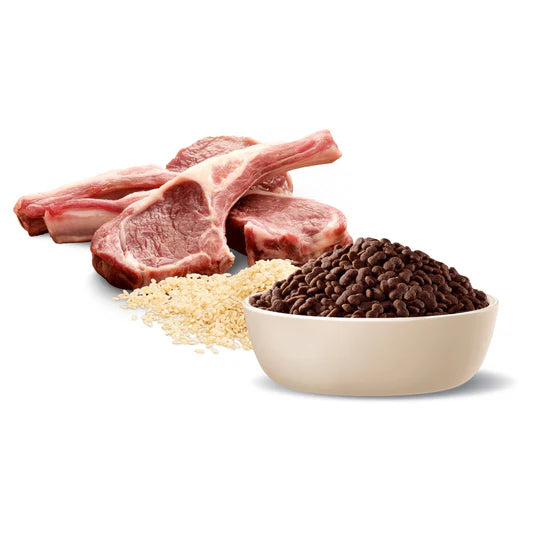 Advance Small Breed Adult Dog Food Lamb with Rice