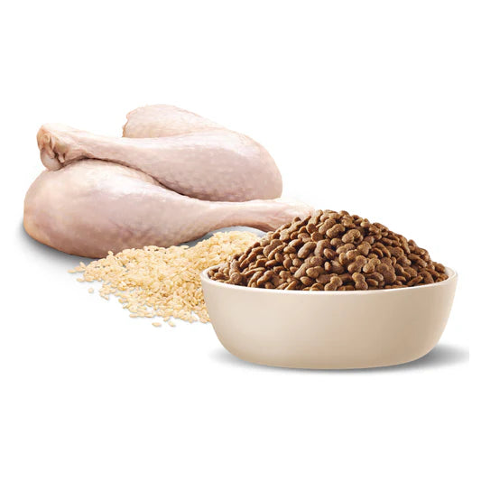 Advance Small Breed Adult Dog Food Turkey with Rice