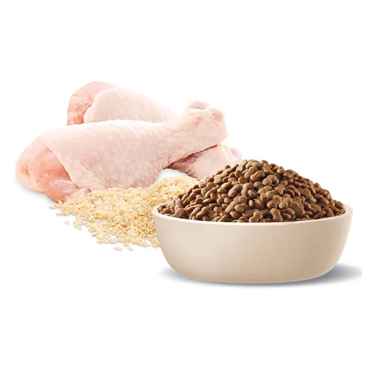 Advance Healthy Ageing Small Breed Dog Chicken with Rice 3kg