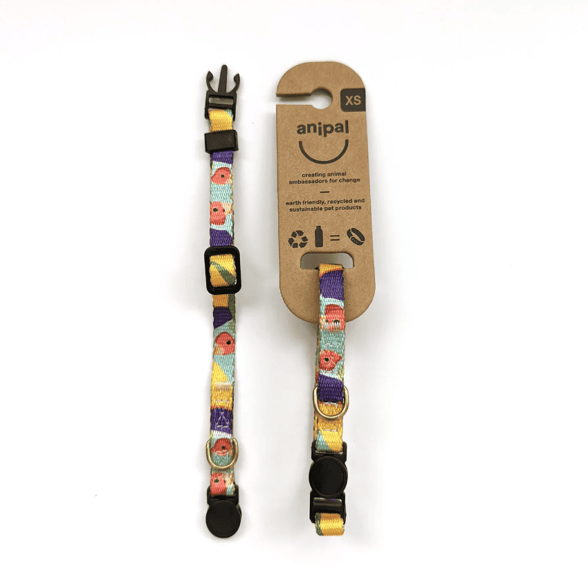 Anipal Gigi The Gouldian Finch Cat Collar