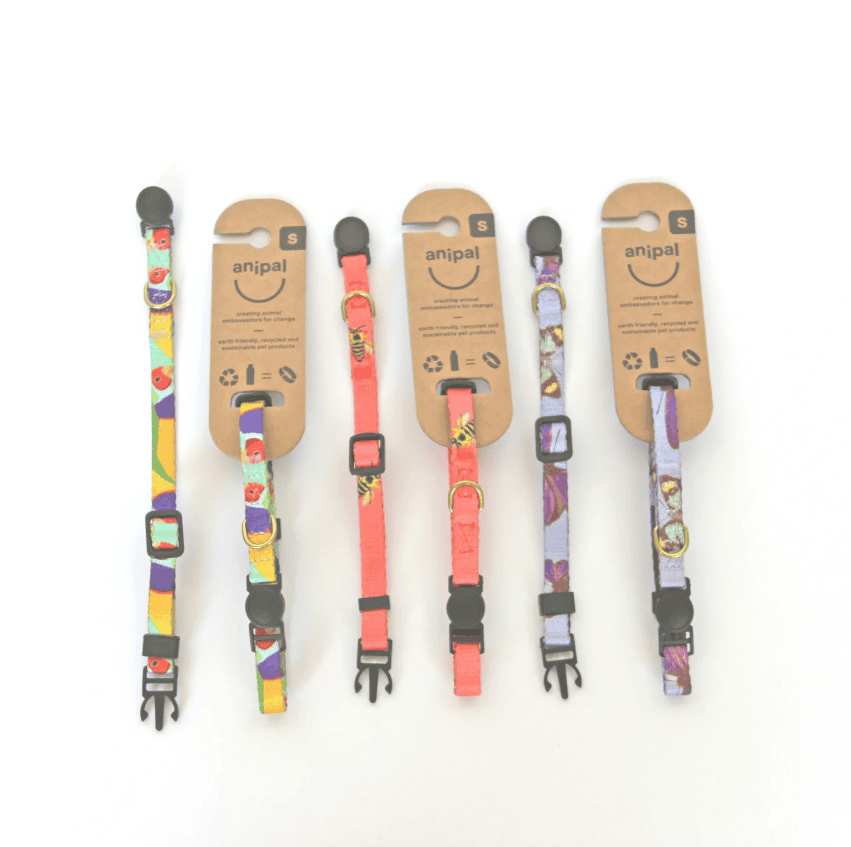 Anipal Gigi The Gouldian Finch Cat Collar