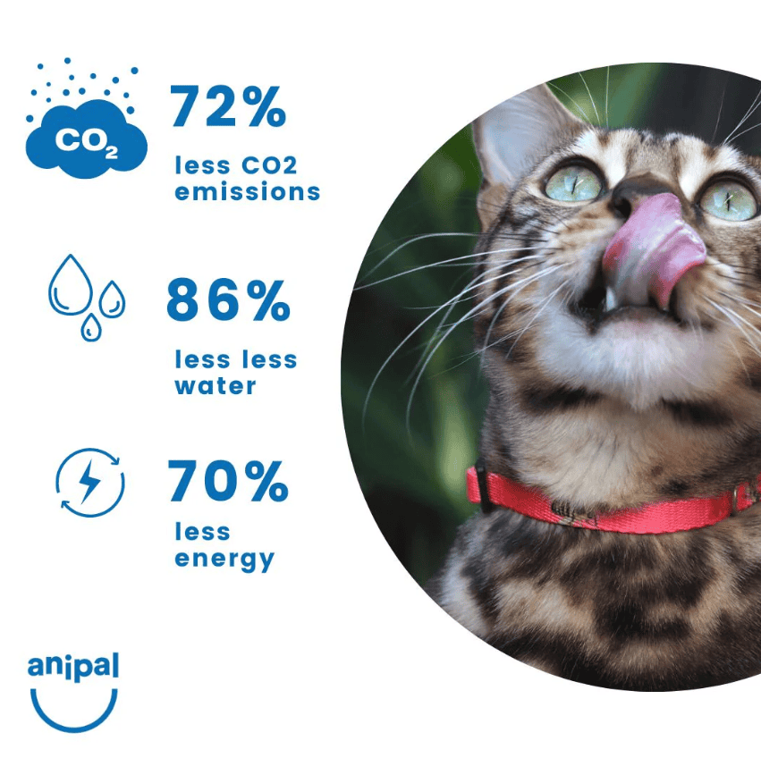 Anipal Bobby The Butterfly Cat Collar Extra Small
