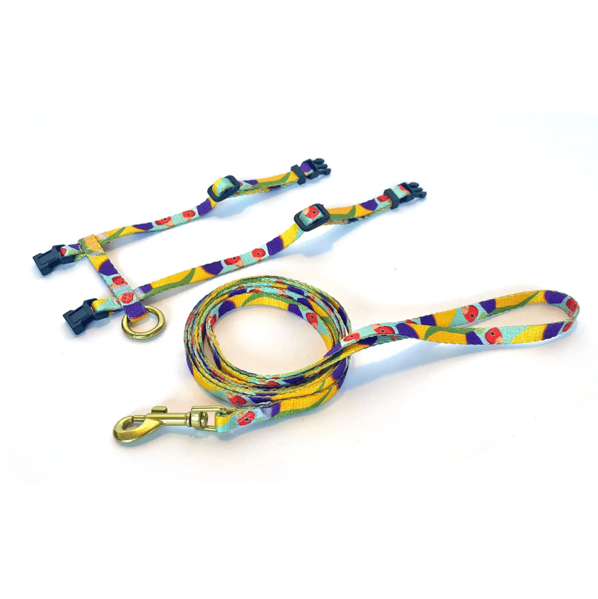 Anipal Gigi The Gouldian Finch Cat Harness & Lead