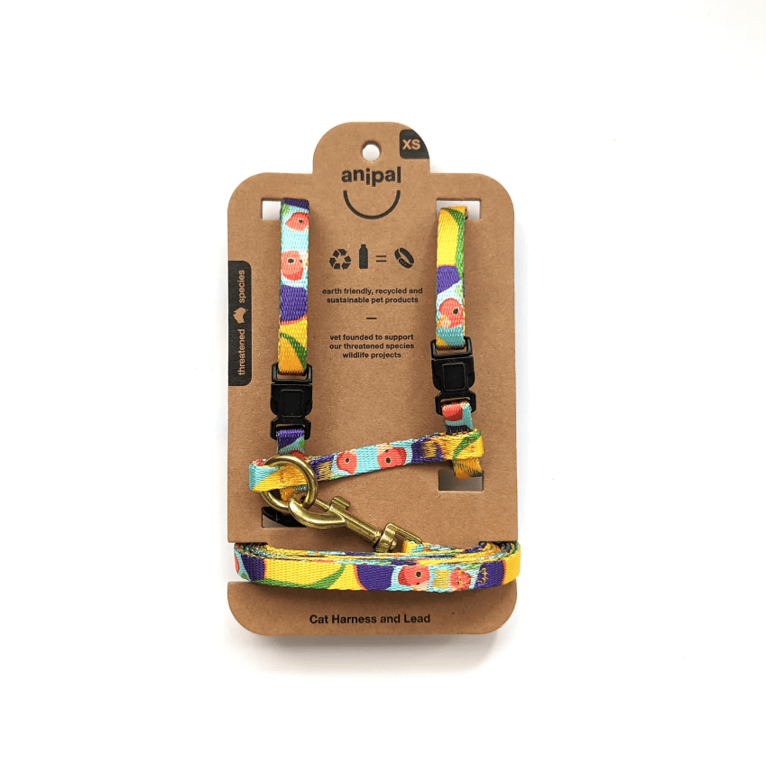 Anipal Gigi The Gouldian Finch Cat Harness & Lead