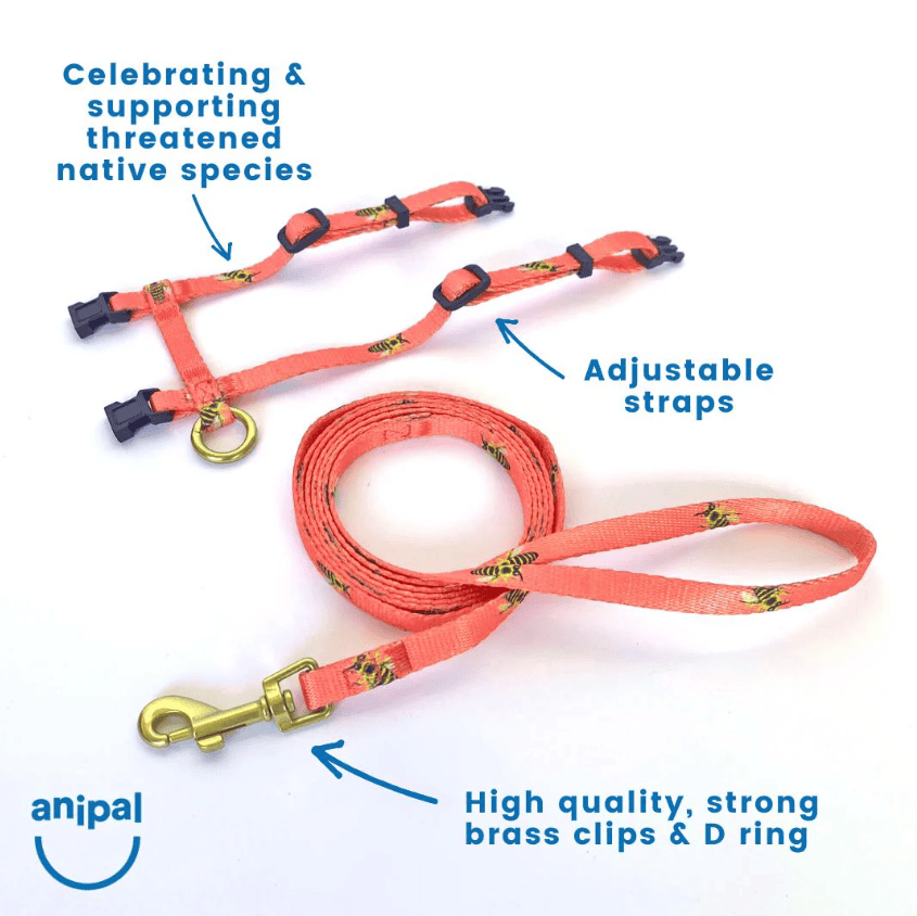 Anipal Gigi The Gouldian Finch Cat Harness & Lead