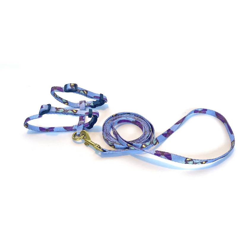 Anipal Bobby The Butterfly Cat Harness & Lead Extra Small
