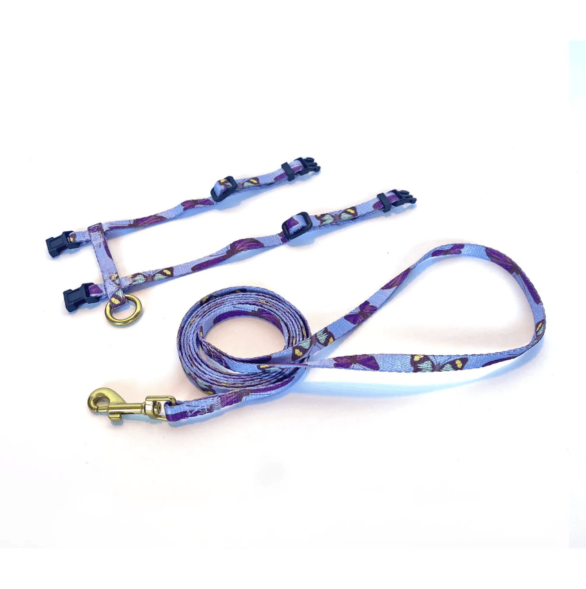 Anipal Bobby The Butterfly Cat Harness & Lead Extra Small
