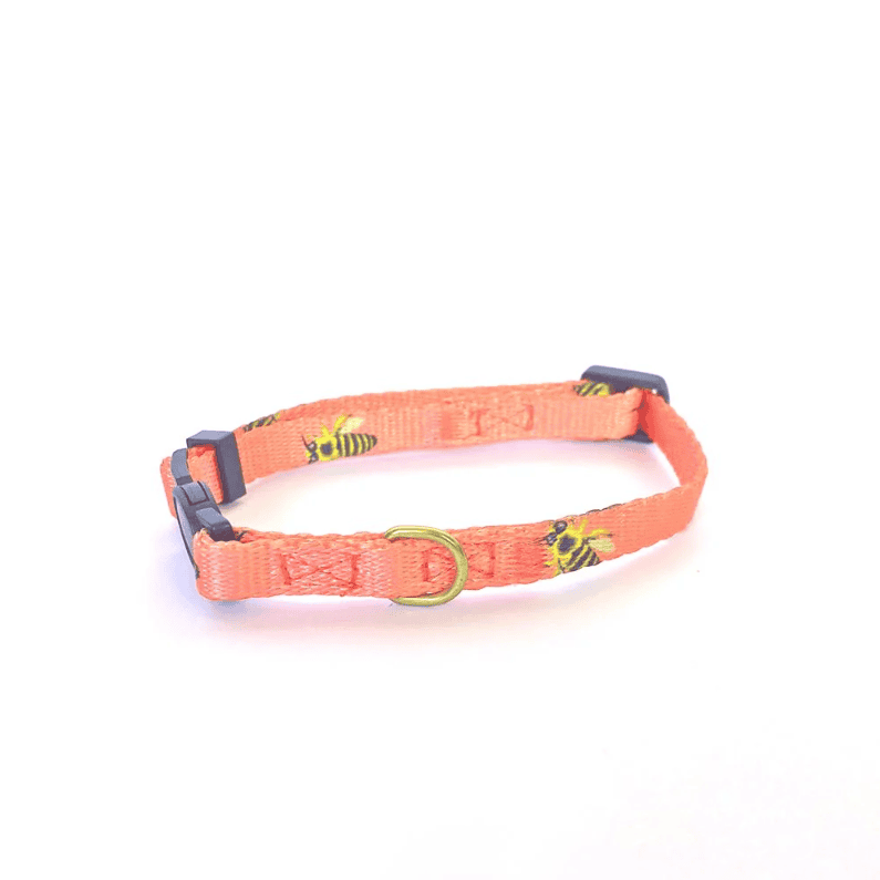 Anipal Bertie The Bee Cat Collar Extra Small
