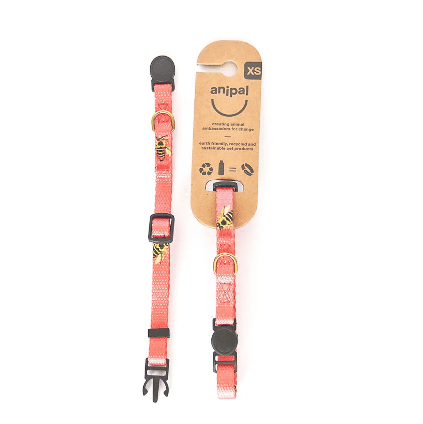 Anipal Bertie The Bee Cat Collar Extra Small