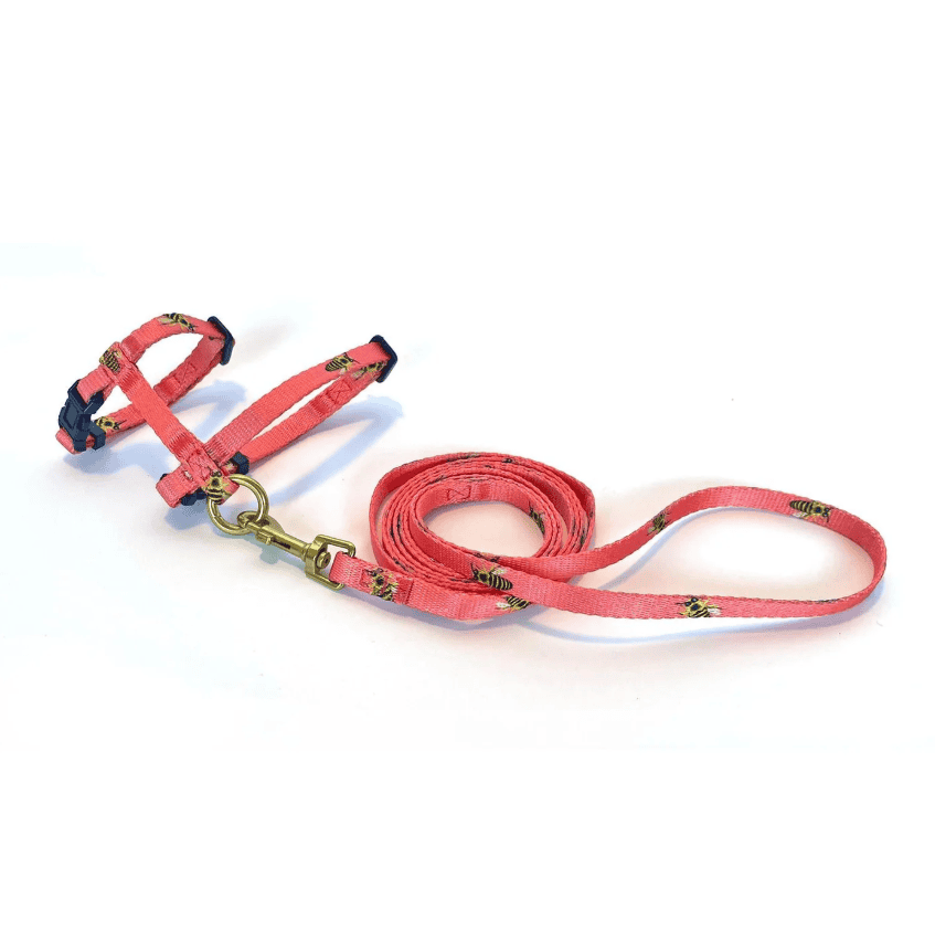 Anipal Bertie The Bee Cat Harness & Lead Extra Small