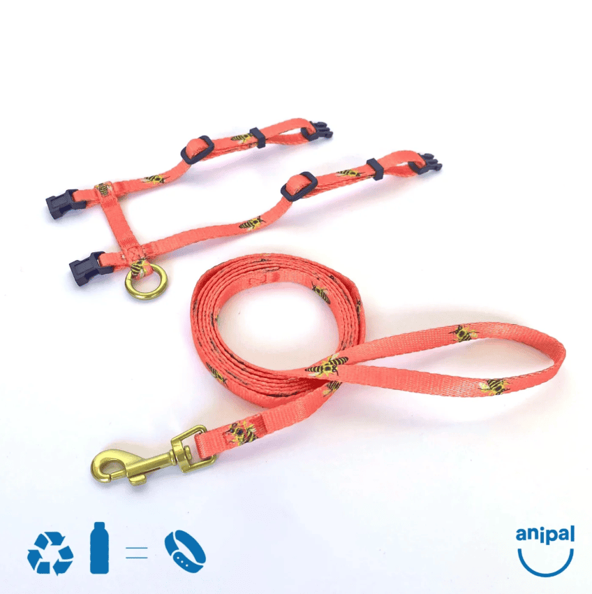 Anipal Bertie The Bee Cat Harness & Lead Extra Small