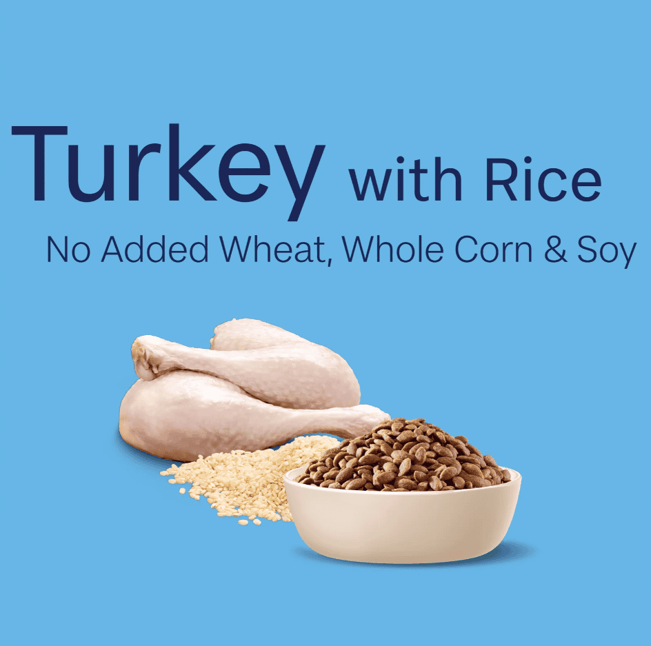 Advance Oodles Puppy Dog Food Turkey with Rice