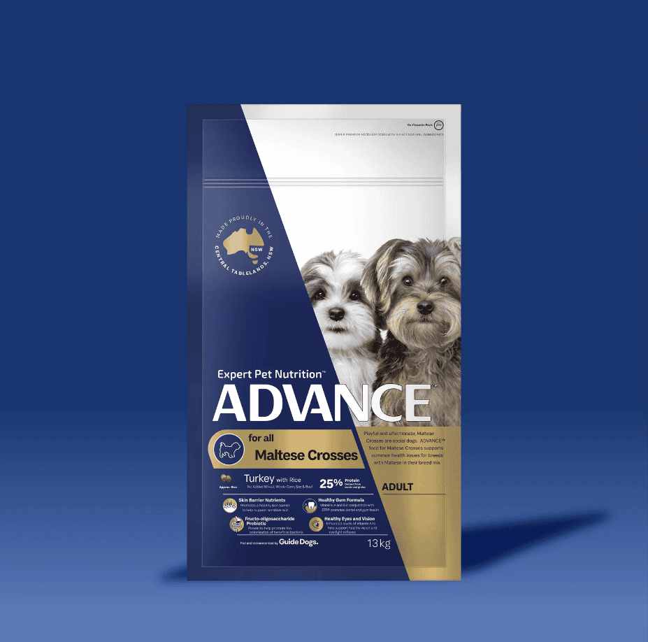 Advance All Breed Maltese Cross Adult Dog Food Turkey with Rice