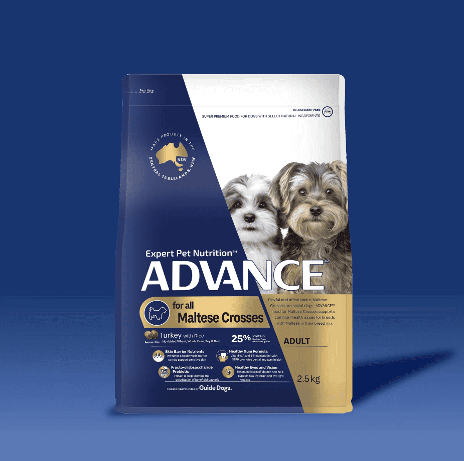 Advance All Breed Maltese Cross Adult Dog Food Turkey with Rice