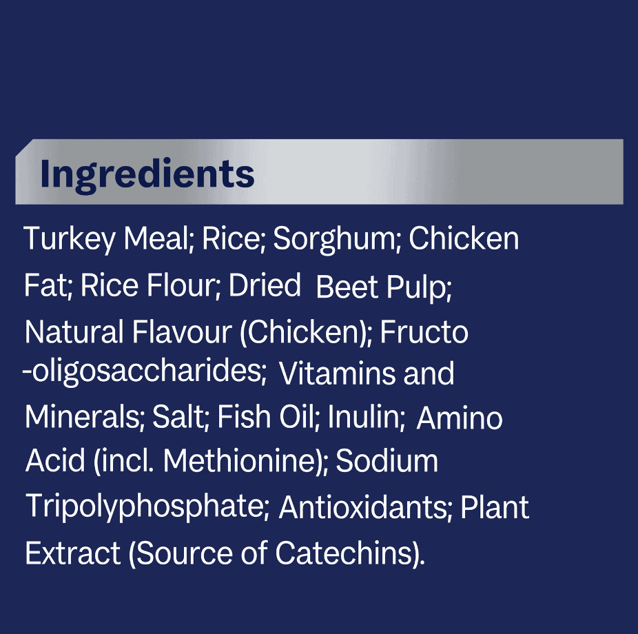 Advance All Breed Maltese Cross Adult Dog Food Turkey with Rice