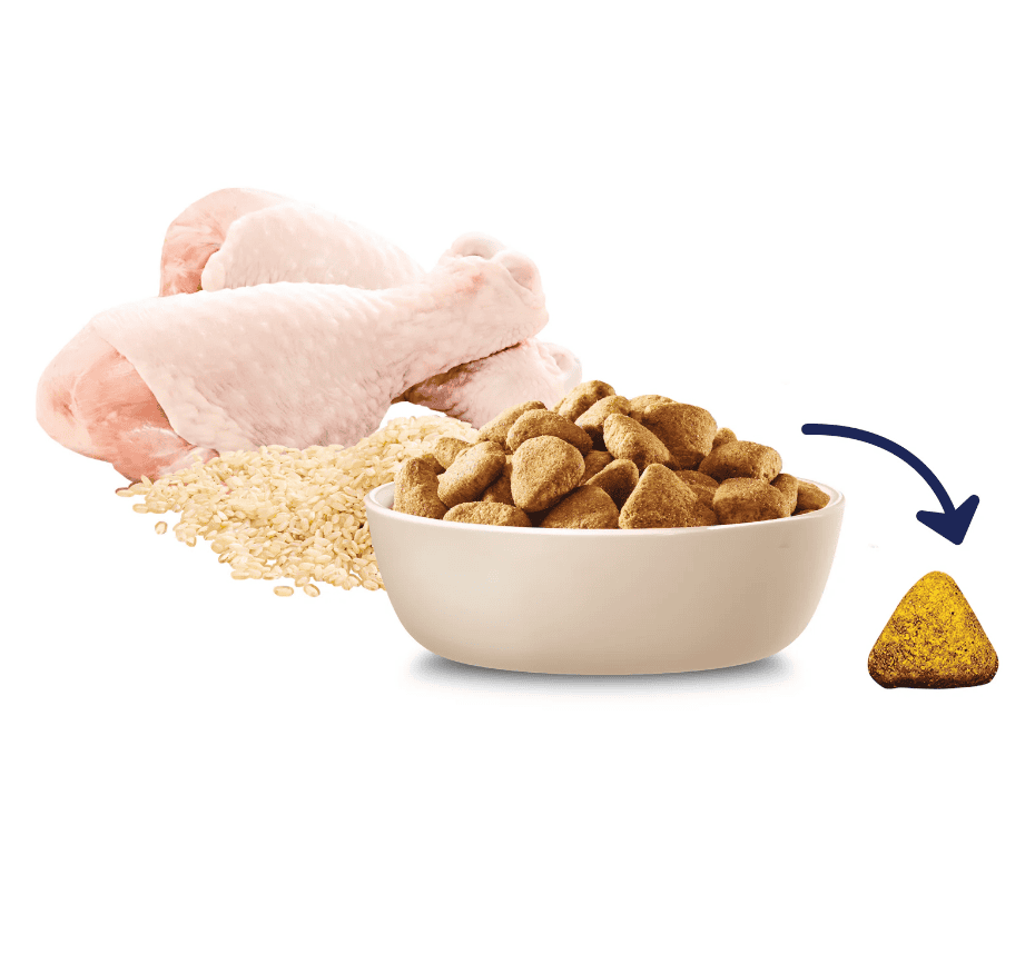 Advance Mobility Medium Breed Adult Dog Food Chicken 13kg